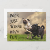 Carte postale "Pugs just wanna have fun" (Devant / Derrière)