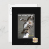 Carte Postale Puis-je avoir dis danse ? (Devant / Derrière)