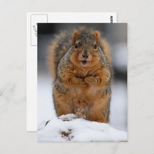 Carte Postale Puis-Je Me Présenter (Devant / Derrière)