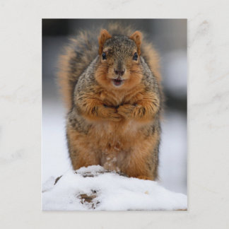 Carte Postale Puis-Je Me Présenter