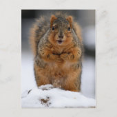 Carte Postale Puis-Je Me Présenter (Devant)