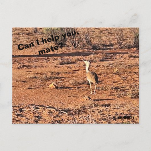Carte Postale Puis-je vous aider, mon pote ? (Devant)