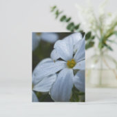 Carte Postale Puissance de flux (Debout devant)