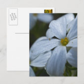 Carte Postale Puissance de flux (Devant / Derrière)