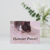 Carte Postale Puissance de hamster Noah, Puissance de hamster ! (Debout devant)