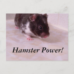 Carte Postale Puissance de hamster Noah, Puissance de hamster !