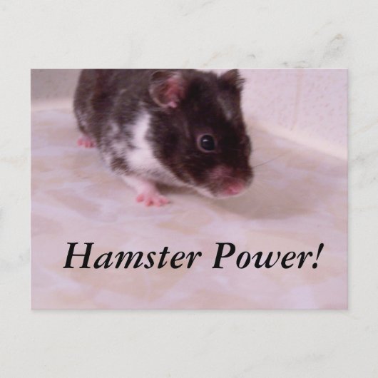 Carte Postale Puissance de hamster Noah, Puissance de hamster ! (Devant)