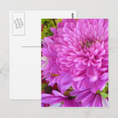 Carte Postale Puissance de la fleur rose (Devant / Derrière)