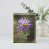 Carte Postale puissance des fleurs violettes (Debout devant)
