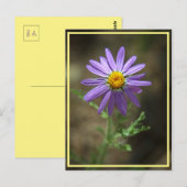 Carte Postale puissance des fleurs violettes (Devant / Derrière)