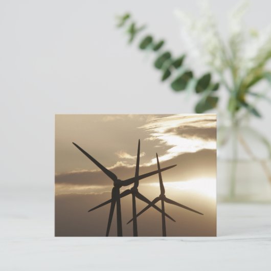 Carte Postale Puissance éolienne (Debout devant)