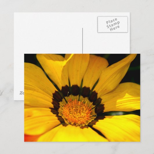 Carte Postale Puissance jaune (Devant / Derrière)