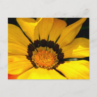 Carte Postale Puissance jaune