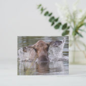 Carte Postale Puissante orignal en jouant cool (Debout devant)