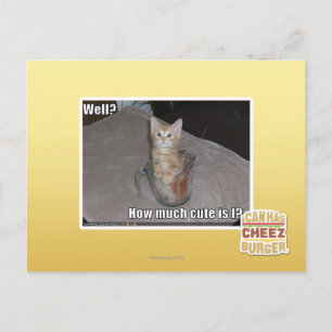 Carte Postale Puits ?