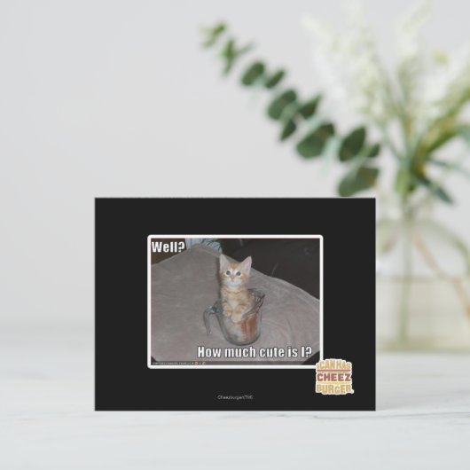 Carte Postale Puits ? (Debout devant)