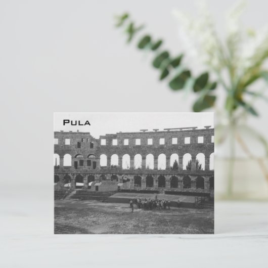 Carte Postale Pula (Debout devant)