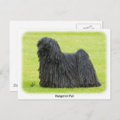 Carte Postale Puli 9R71D-101 hongrois (Devant / Derrière)