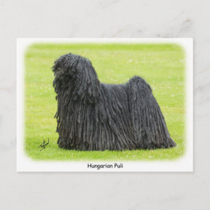 Carte Postale Puli 9R71D-101 hongrois