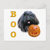 Carte Postale Puli Boo (Devant)