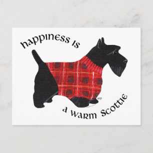 Carte Postale Pull à carreaux rouge et noir pour Terrier Écossai