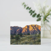 Carte Postale Pulliam Ridge, Parc national de Big Bend, Texas (Debout devant)