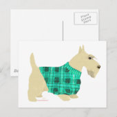 Carte Postale Pullover pour Scottish Terrier roux (Devant / Derrière)