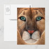 Carte Postale Puma (Devant / Derrière)