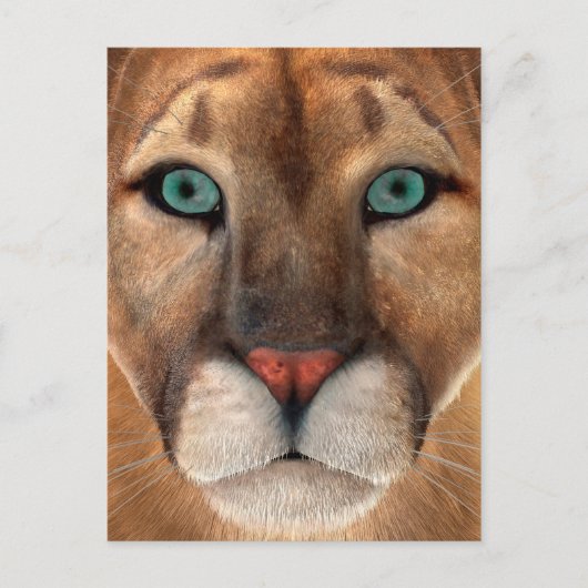 Carte Postale Puma (Devant)