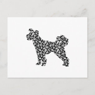 Carte Postale Pumi