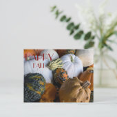 Carte Postale Pumpkin Postcard (Debout devant)