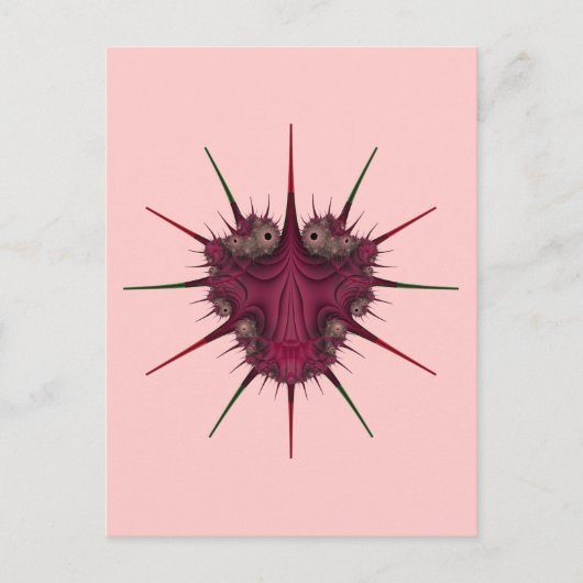 Carte Postale Punaise Rhizidio (Devant)