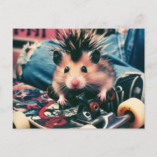 Carte Postale Punk Skateboard Cute Hamster (Devant)