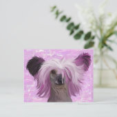 Carte Postale Punky2 (Debout devant)