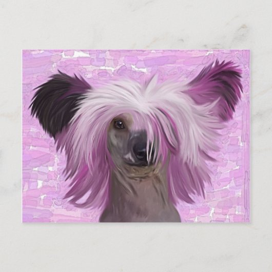 Carte Postale Punky2 (Devant)