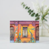 Carte postale Punta Arenas (Chili) (Debout devant)