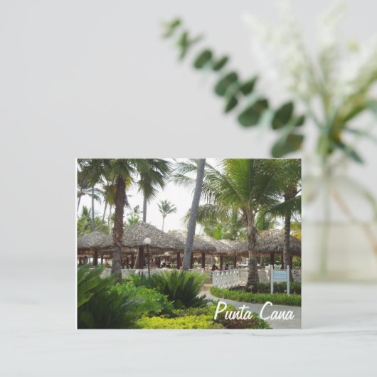 Carte postale Punta Cana (Debout devant)