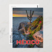 Carte Postale Punta Lobos, Basse Californie, Mexique (Devant / Derrière)