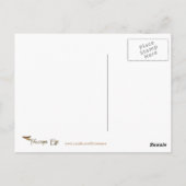 Carte postale Punxsutawney (Dos)