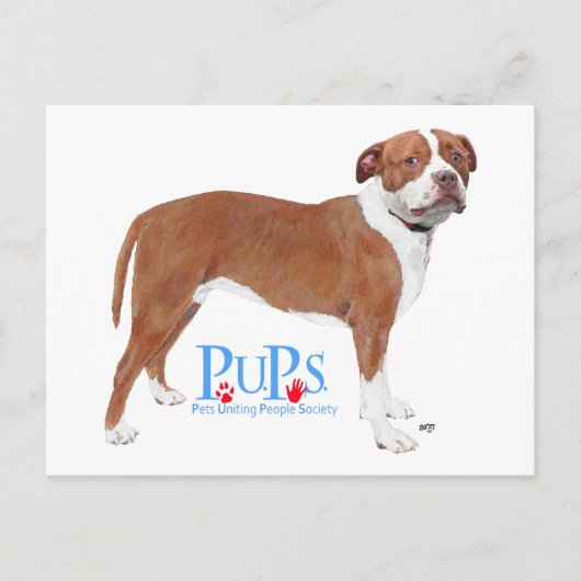 Carte Postale PUP Secourus Pit Bull (Devant)