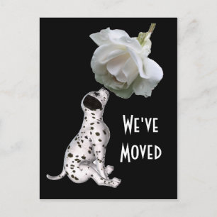 Carte Postale Puppy Et Rose Nouvelle Adresse