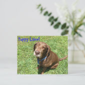 Carte Postale Puppy Love ! (Debout devant)