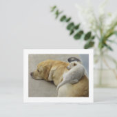 Carte Postale Puppy Love (Debout devant)