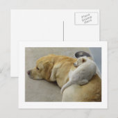 Carte Postale Puppy Love (Devant / Derrière)