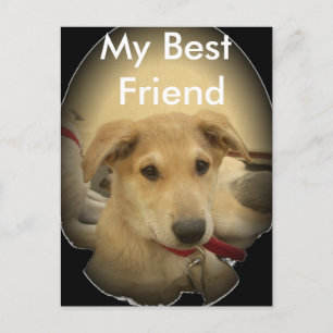 Carte Postale Puppy Love : Le meilleur ami de l'homme