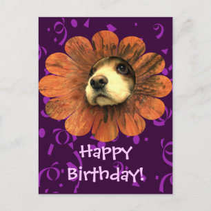 Carte Postale Puppy Love Peeking d'une fleur