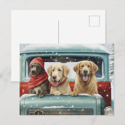 Carte Postale Pups de vacances (Devant / Derrière)