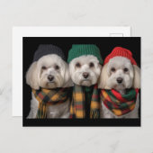 Carte Postale Pups de vacances (Devant / Derrière)