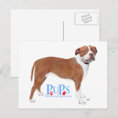 Carte Postale PUPs Sauve Pit Bull (Devant / Derrière)