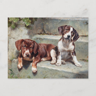 Carte postale Pups vintage